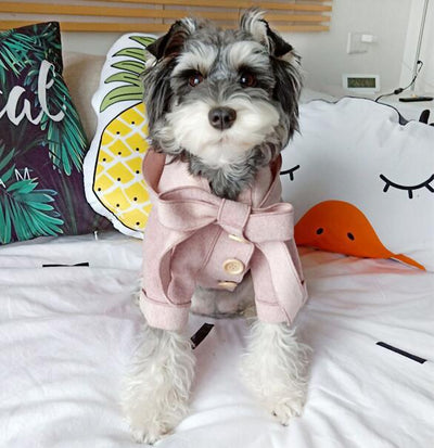 Ropa Abrigadora para Mascotas Pequeñas - Abrigo Teddy para Perros y Gatos Otoño Invierno - Image 15