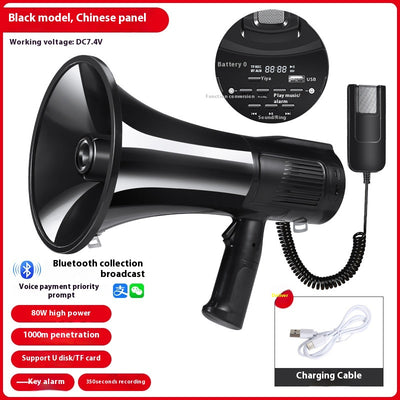 Altavoz Portátil de Alta Potencia con Grabación y Carga - Image 9