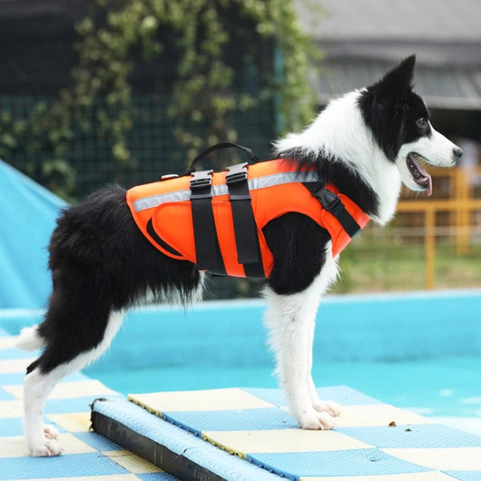 Chaleco Salvavidas Reflectante para Perros