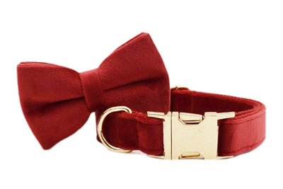 Collar de Tracción Resistente para Perros - Image 28