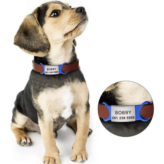 Collar para Perro con Campana y Placa de Identificación Personalizada con Foto - Image 7