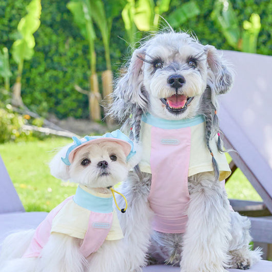 Ropa Fresca para Perros Pequeños Bichón Schnauzer