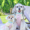 Ropa Fresca para Perros Pequeños Bichón Schnauzer