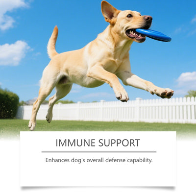 Gránulos Blandos para la Salud Intestinal Canina - Image 3