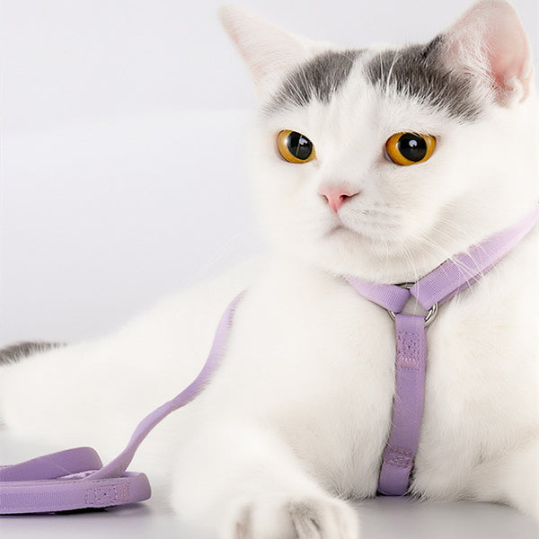 Arnés de Tracción en Forma de I para Perros y Gatos
