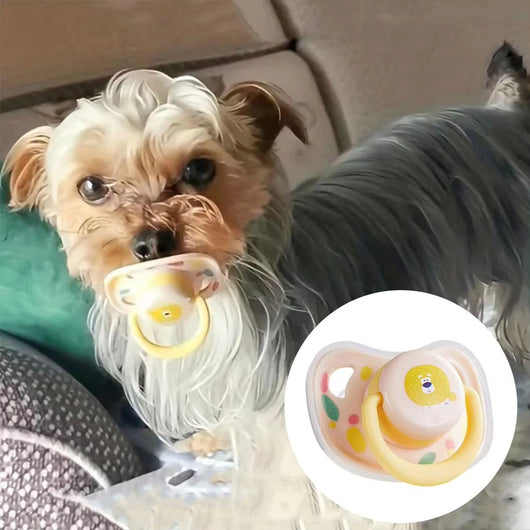 Juguete Mordedor Especial para Caniche - Pacificador Dental para Perros - Image 13