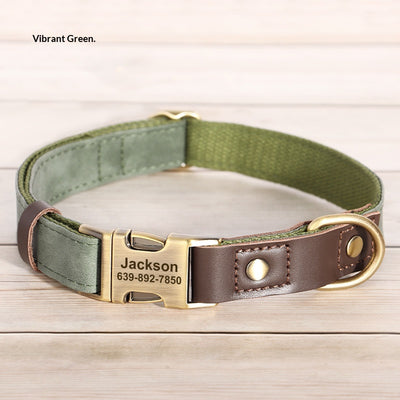 Collar Ajustable para Perros Medianos - Paseos Seguros y Cómodos - Image 5