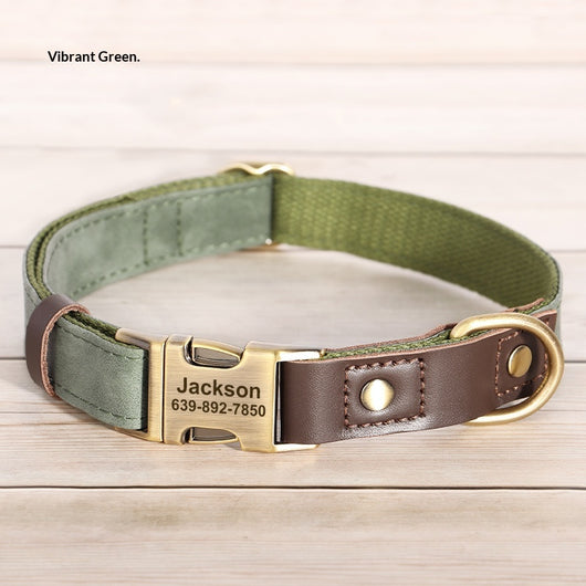 Collar Ajustable para Perros Medianos - Paseos Seguros y Cómodos - Image 5