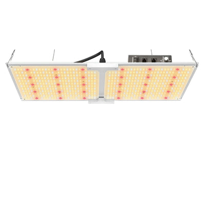 Lámpara de Cultivo ETL Mingwei LM301B Quantum Edition - Fuente de Poder Certificada - Image 15