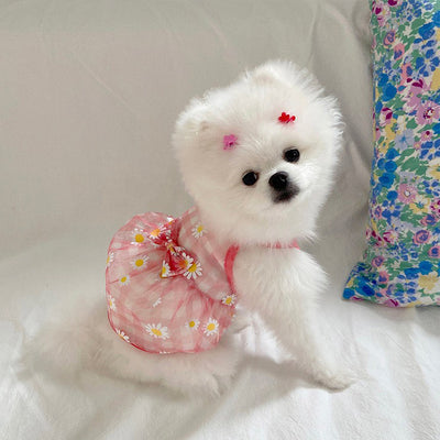 Chaleco de Malla Estampado Gatos y Perros Margaritas - Image 4