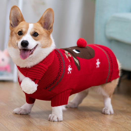 Abrigo Acolchado Térmico para Shiba Inu - Protección Invernal - Image 7