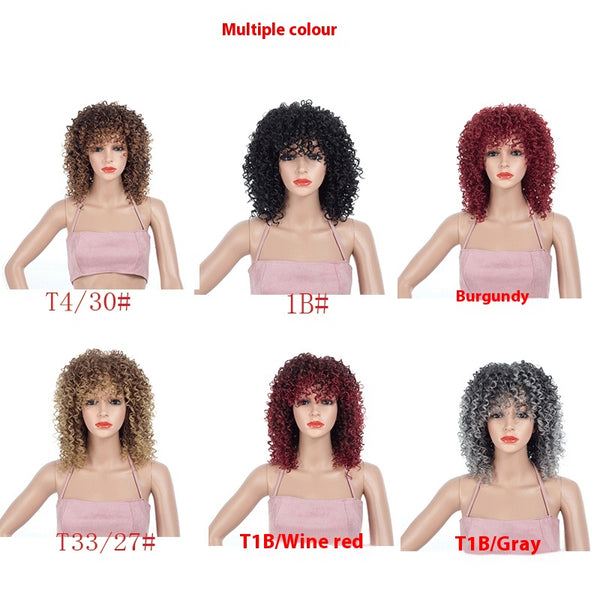 Peluca Afro Multicolor con Rizos Pequeños