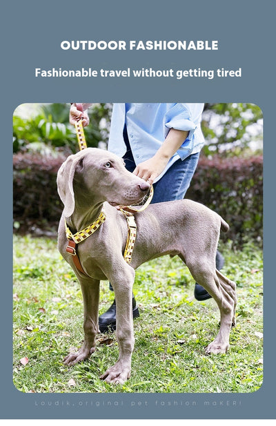Arnés en I para Mascotas con Cuerda de Tracción - Image 18