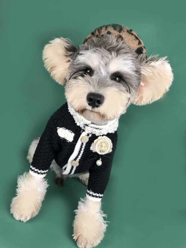 Suéter Cardigan Primavera para Perros Pequeños - Schnauzer y Pomerania