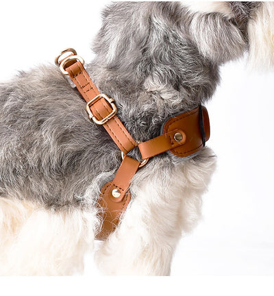 Arnés de Rastreo con AirTag para Perro - Localización en Tiempo Real - Image 13