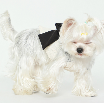 Blusa Tanque Beige con Moño de Seda Negra para Mascotas