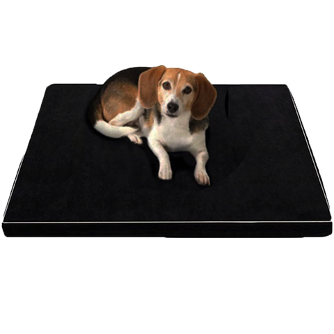 Cama Ortopédica Arthur con Memoria de Espuma para Perros Grandes y Adultos Mayores