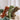 Dog Bite Resistant Plush Sounding Toy Dinosaur