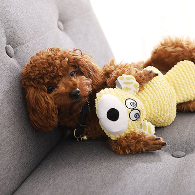 Juguete Mordedor Peluche Osito para Entrenamiento Dental de Mascotas - Image 2