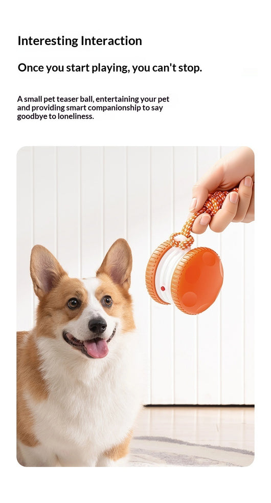 Pelota Interactiva Recargable para Gatos y Perros - Juguete Rodante Duradero - Image 11