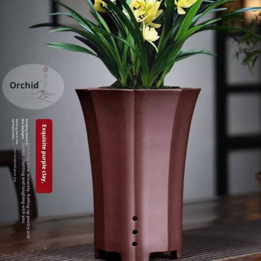 Macetas de Arena Púrpura para Orquídeas Phalaenopsis y Clivia - Image 13