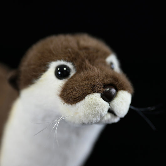 Peluche Nutria Adorable - Image 13