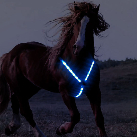 Arnés Luminoso para Caballo con Pecho Reflectante LED Cinch Cool