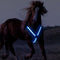 Arnés Luminoso para Caballo con Pecho Reflectante LED Cinch Cool