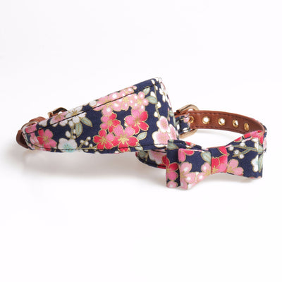 Conjunto de Collar y Correa Japonés para Perros - Image 10