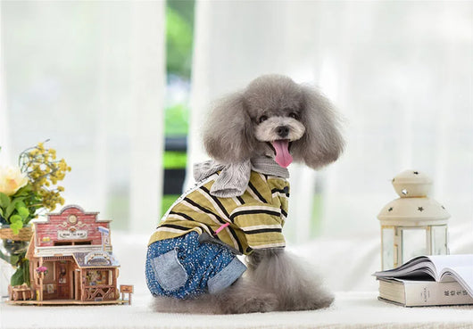 Ropa para Mascotas Bebé - Image 12