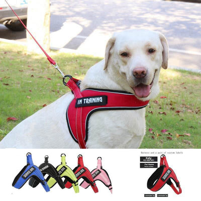 Arnés Transpirable para Perro con Tira Reflectante y Hebilla de Metal - Image 2