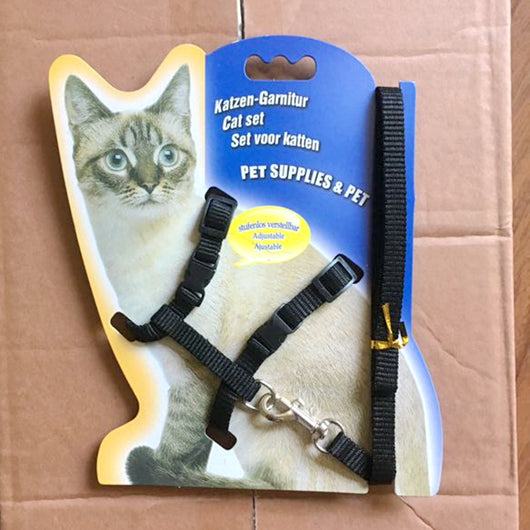 Arnés de Paseo para Gatos - Image 10