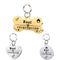 Placa de Identificación para Perro en Acero Inoxidable Personalizada