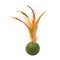 Juguete Interactivo para Gatos con Catnip Natural y Plumas