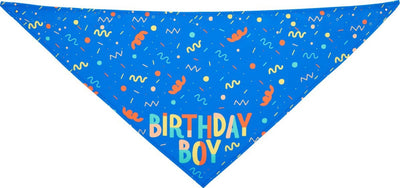 Pañuelo Triangular para Perros con Juguete Hueso y Toalla Absorbente - Image 4