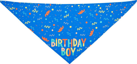 Pañuelo Triangular para Perros con Juguete Hueso y Toalla Absorbente - Image 4