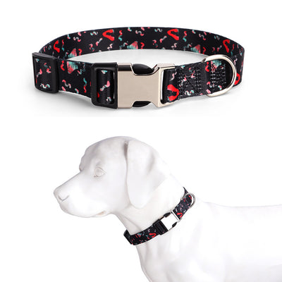 Collar para Mascotas con Impresión Digital por Transferencia Térmica Reforzado - Image 18