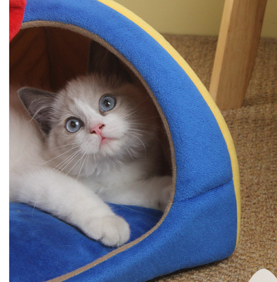 Nido Felino Semicerrado Cuatro Estaciones - Cama Universal para Gatos - Image 15