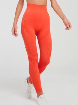 Pantalones Yoga Ajustados Sin Costuras - Diseño Deportivo de Alta Elasticidad - Image 26