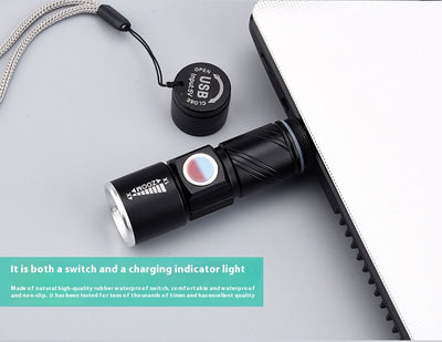 Linterna UV Portátil con Luz Negra - Detector de Fluorescencia y Autenticación - Image 16