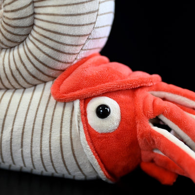 Peluches de la Serie Paleontología: Amonitas Coleccionables - Image 16