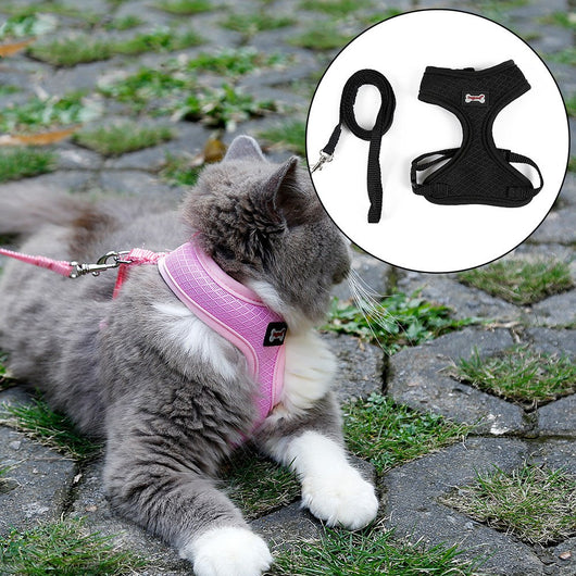 Arnés Antideslizante para Gatos