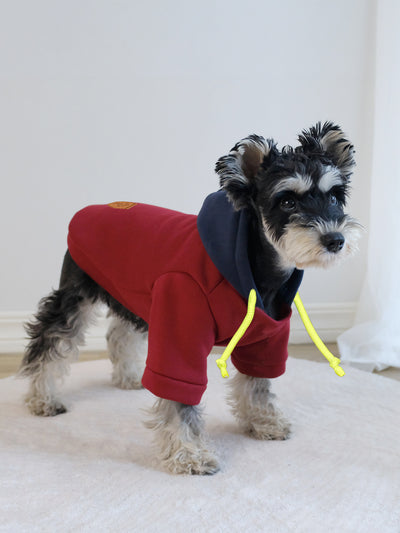 Sudadera con Capucha para Mascotas - Diseño Bicolor Moderno - Image 11