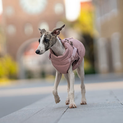 Abrigo Térmico para Perros - Ropa Invernal Gruesa y Resistente al Viento