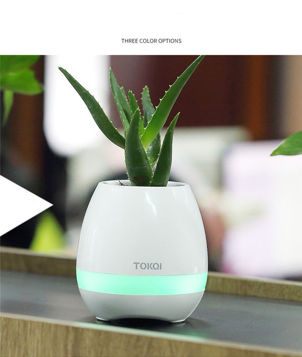 Florero Musical Táctil con Altavoz Integrado