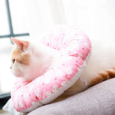 Collarín Antimordeduras Multifuncional y Juguete para Gatos - Image 14