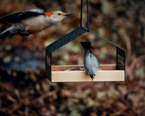 Comedero Colgante para Pájaros - Decoración de Jardín Exterior