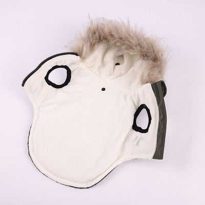 Abrigo de Algodón para Perros Bichon - Ropa de Otoño e Invierno con Correa - Image 20