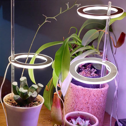 Lámpara LED de Espectro Completo Anillo Angel para Plantas - Cultivo Indoor USB 5V - Image 4