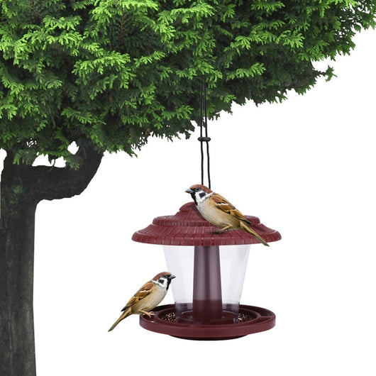 Comedero para Pájaros de Acrílico Transparente - Image 4